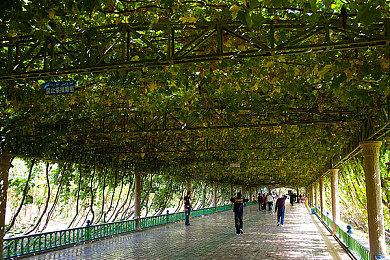 MMORPG新作《凡间在线2》现已进入抢先体验阶段